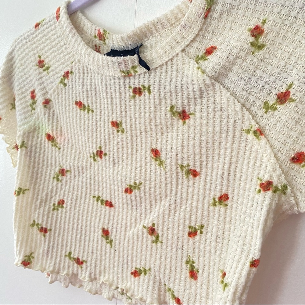 Crème Rose Crop Top Urban Outfitters